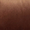 BRAUN
