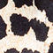 CREME/ HELLORANGE/ SCHWARZ