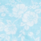 HELLBLAU/ WEISS