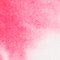 PINK/ WEISS