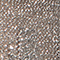 DUNKELGRAU/ SILBER