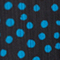 SCHWARZ/ BLAU