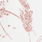 WEISS/ BRAUN