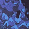 DUNKELBLAU/ BLAU/ WEISS