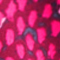 PINK/ WEISS