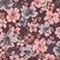 BRAUN/ ROSA/ GRAU