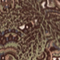 GRÜN/ BRAUN/ ECRU