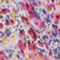 FUCHSIA/ ROSA/ BLAU
