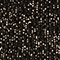 SCHWARZ/ GOLD