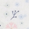 WEISS/ ROSA