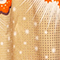 ROT/ BEIGE/ BRAUN