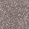 DUNKELBRAUN/ SILBER
