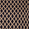SCHWARZ/ CAMEL