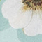 MINT/ GRÜN/ ROSA