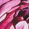 HELLROSA/ GRÜN/ ROSA