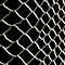 REPTILE