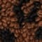 BROWN / SILVER / BLACK