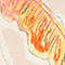BEIGE / PINK / GELB