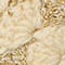 GOLD / CREME