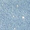Light Blue Denim/RHINESTONES