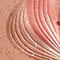 CORAIL