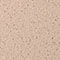 BEIGE / SILVER