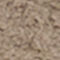TAUPE / ÉCRU
