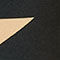 SCHWARZ / GOLD