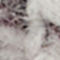 CREME / BRAUN