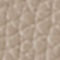 TAUPE / SILVER