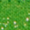 LIGHT GREEN / GOLD