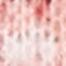 ROSE / DARK RED / WHITE