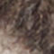 DARK BROWN / BEIGE / DARK GRAY