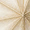 CREAM / GOLD
