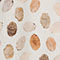 ECRU / DUNKELBRAUN / BEIGE