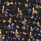 DARK BLUE / BROWN / BLUE