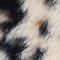 ECRU / BEIGE / BLACK