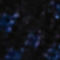 DARK BLUE / PINK / GREEN