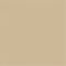LIGHT GOLD/ DARK GRAY