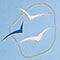 LIGHT BLUE / DARK BLUE / WHITE