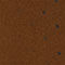 MARRON FONCÉ / ZWART