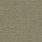 KHAKI / GRÄDDE