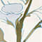 ECRU / KHAKI / LIGHT BLUE