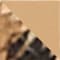 BEIGE / BROWN / BLACK