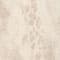 BEIGE / TAUPE