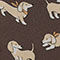 DUNKELBRAUN / BEIGE / ECRU