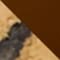 LIGHT BROWN / BLACK