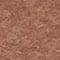 DARK CAMEL