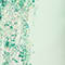 502 misty jade