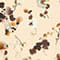 126 lamb`s wool
